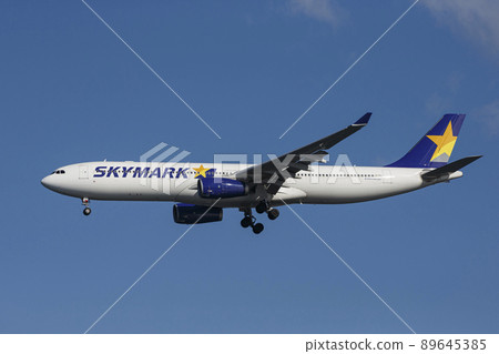 天馬空客 A330 89645385