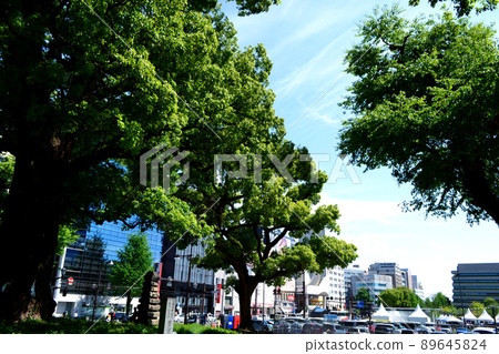 熊本城周邊的街景:鮮花和綠化的櫻町/花畑地區街景 熊本城周邊的街景:鮮花和綠化的櫻町/花畑地區街景 89645824