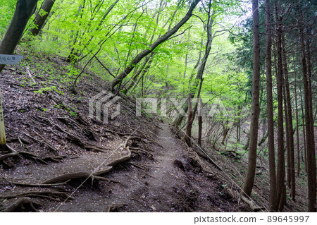 Jinba mountain hiking trail 89645997