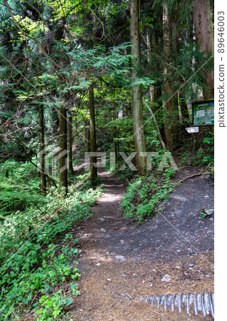 Jinbayama new hiking trail Jinbayama new hiking trail 89646003