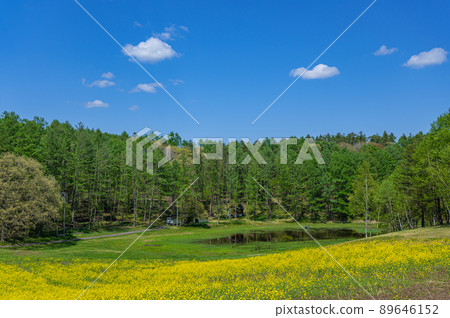 中山高原露營地 89646152