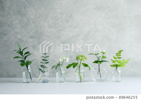 Natural plant background material 89646255