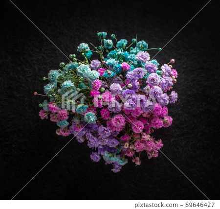 Delicate flower on black background. Studio shot. Delicate flower on black background. Studio shot. 89646427