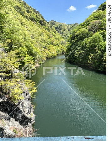 新鮮的綠壩 89646624