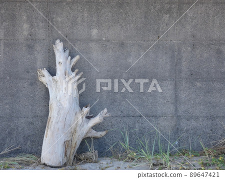 Concrete walls and driftwood Concrete walls and driftwood 89647421
