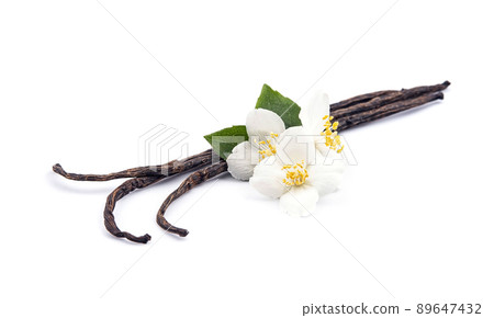 Vanilla stick with jasmine flowers 89647432