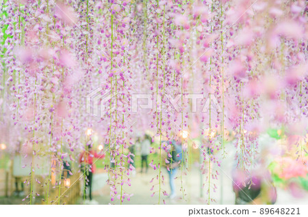 紫藤雨天 89648221