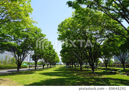 May Koto 430 Fresh green trees, Tokyo Rinkai Disaster Prevention Park May Koto 430 Fresh green trees, Tokyo Rinkai Disaster Prevention Park 89648291