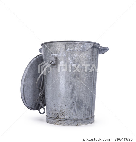 Raccoon on white background 89648686