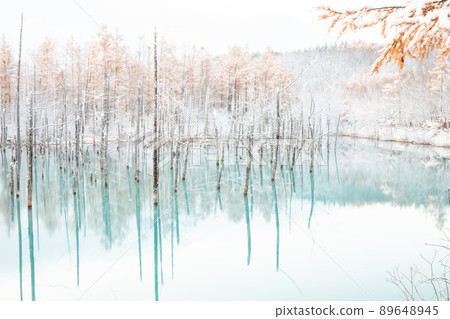 [北海道美瑛町]初雪的藍色池塘 89648945