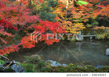 深秋的黃昏 京都市左京區蓮華寺的庭園很美 89649065