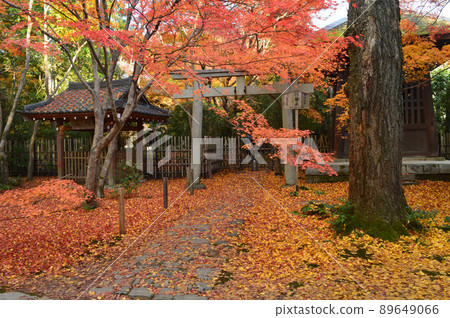 深秋的黃昏 京都市左京區蓮華寺的落葉很美 89649066