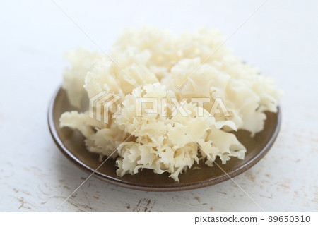 Petal mushroom 89650310