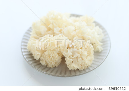 花瓣蘑菇 89650312