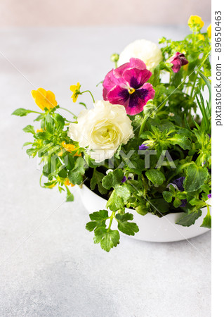 Vase with beautiful flowers Vase with beautiful flowers 89650463