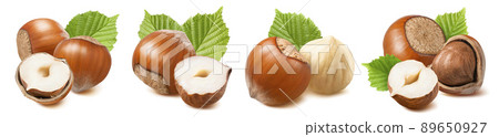 Hazelnut set isolated on white background 89650927