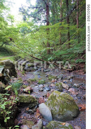 Nissinkinkinkin Wadokai open copper mine open pit excavated spot Chichibu Kurotani holy shrine 89650996