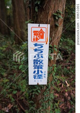 Chichibu walking small diameter coin wash money luck Wadokaichin Wado mining open-air digging site Saitama Chichibu Kuroya Hijiri Shrine 89651001