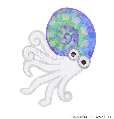POP and cute ammonite watercolor painting 89651053