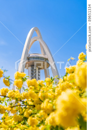 138 Tower Park, Lady Banks' Rose in full bloom <Ichinomiya City, Aichi Prefecture> 138 Tower Park, Lady Banks' Rose in full bloom <Ichinomiya City, Aichi Prefecture> 89651334