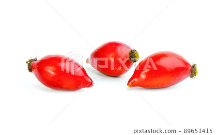 Rose hips (rosa canina) isolated on white background Rose hips (rosa canina) isolated on white background 89651415