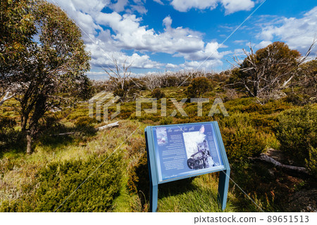 Wallace Hut near Falls Creek in Australia 89651513