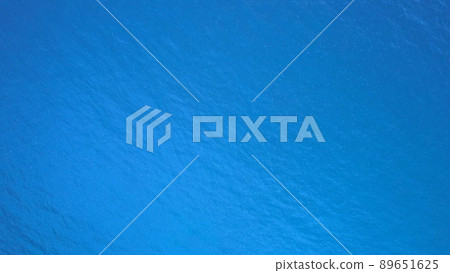 Top view of the ocean with a flock of jellyfish Top view of the ocean with a flock of jellyfish 89651625