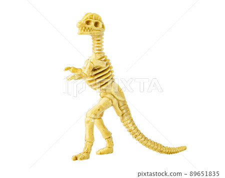 Dinosaur skeleton model toy isolated on white 89651835