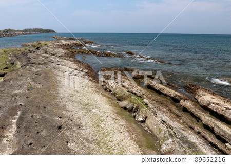 Tateyama City, Chiba Prefecture "Fault" "Ground" Tateyama City, Chiba Prefecture "Fault" "Ground" 89652216