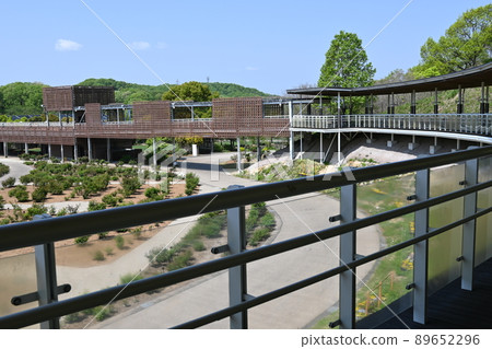 岐阜世界玫瑰園展望台和玫瑰園 岐阜世界玫瑰園展望台和玫瑰園 89652296