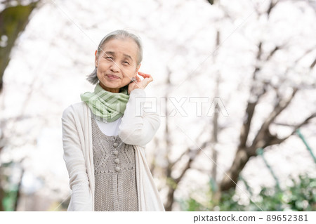 高級女性肖像 高級女性肖像 89652381