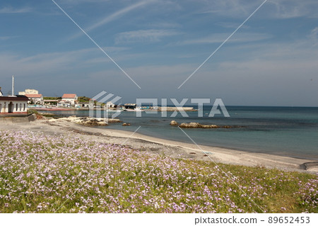 Tateyama City, Chiba Prefecture "Fault" "Ground" Tateyama City, Chiba Prefecture "Fault" "Ground" 89652453