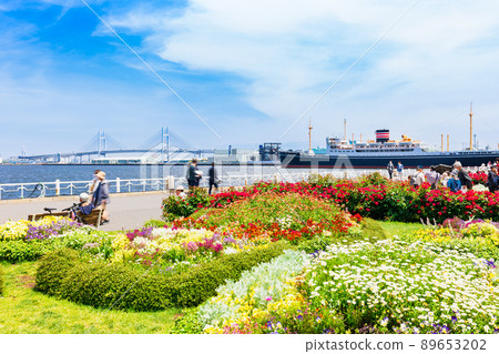 橫濱灣地區山下公園和海灣大橋 橫濱灣地區山下公園和海灣大橋 89653202