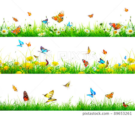 Beautiful nature view of butterfly on blurred background in garden. 89653261