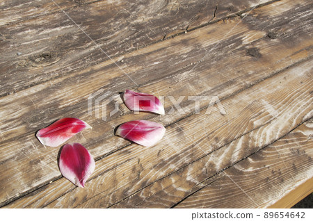 Tulip petals Tulip petals 89654642