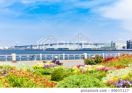 橫濱山下公園和海灣大橋 89655127