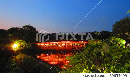Shining wisteria country Shining wisteria country 89655499