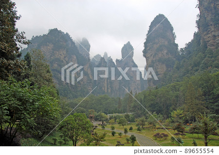Zhangjiajie National Forest Park, Hunan Province, China: Misty mountains and forest scenery in Zhangjiajie. This Chinese national park is famous for its tall rocky pinnacles, trees and swirling mist. 89655554