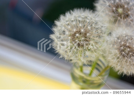 Dandelions on a window in a vase, against the background of the night. 89655944