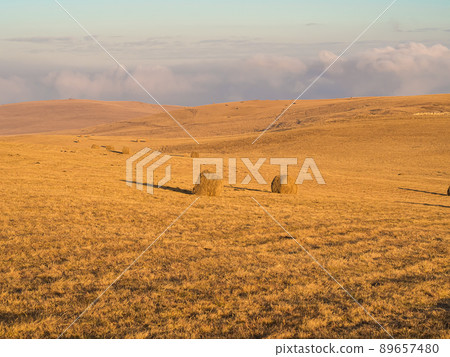 Golden haystacks in an autumn field located on the mountains at the height of the clouds Golden haystacks in an autumn field located on the mountains at the height of the clouds 89657480