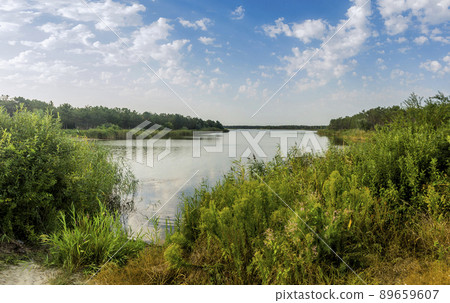 landscape of the lake in the Ukrainian part of the Danube Delta 89659607