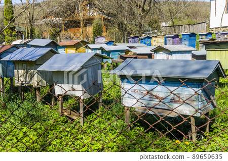 apiary in Ukrainian village apiary in Ukrainian village 89659635