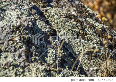 close-up stone texture close-up stone texture 89659898