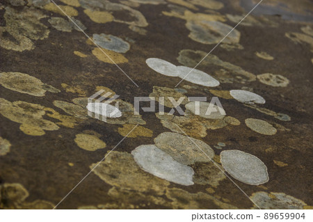 close-up of a stone texture close-up of a stone texture 89659904