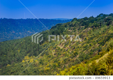 a forest landscape on the Dniester canyon, National Nature Park Dnister Canyon, Ternopil region, Ukraine 89659913