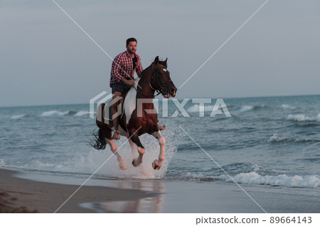 A modern man in summer clothes enjoys riding a horse on a beautiful sandy beach at sunset. Selective focus A modern man in summer clothes enjoys riding a horse on a beautiful sandy beach at sunset. Selective focus 89664143