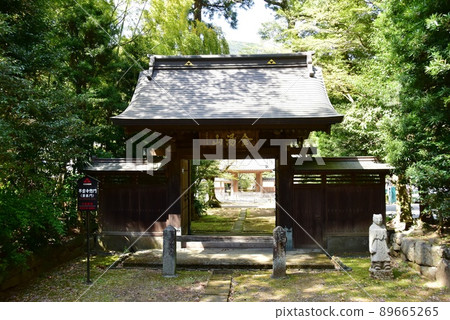 箱根町早雲寺索門(藥業門)和鮮綠 箱根町早雲寺索門(藥業門)和鮮綠 89665265