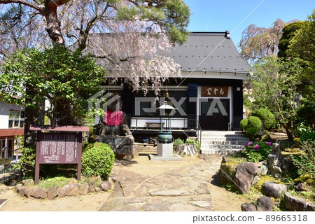 箱根町、Kiunkaku 寺、盛開的垂枝櫻花和新鮮的綠色植物 箱根町、Kiunkaku 寺、盛開的垂枝櫻花和新鮮的綠色植物 89665318