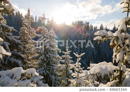 Aerial winter landscape with spruse trees of snow covered forest in cold mountains in the evening. Aerial winter landscape with spruse trees of snow covered forest in cold mountains in the evening. 89665384