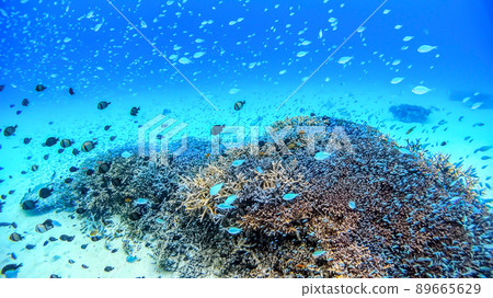 沖繩赤島的西濱海灘水下照片 89665629